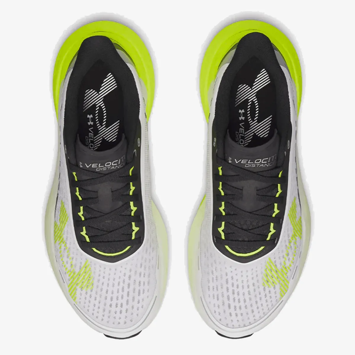 UNDER ARMOUR PANTOFI SPORT UA Velociti Distance 