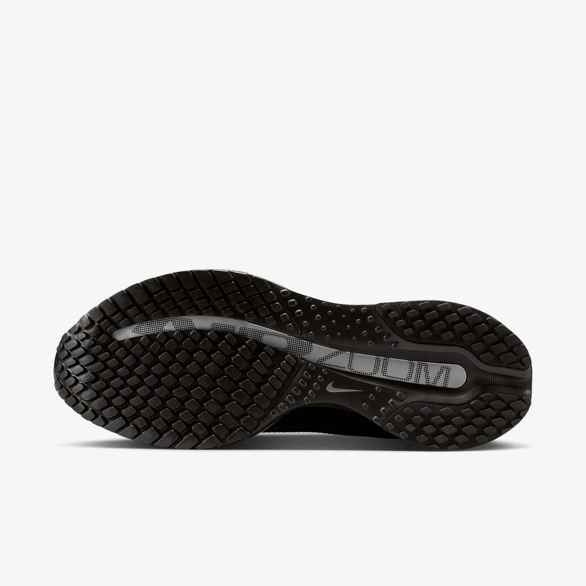 NIKE PANTOFI SPORT W NIKE PEGASUS PREMIUM