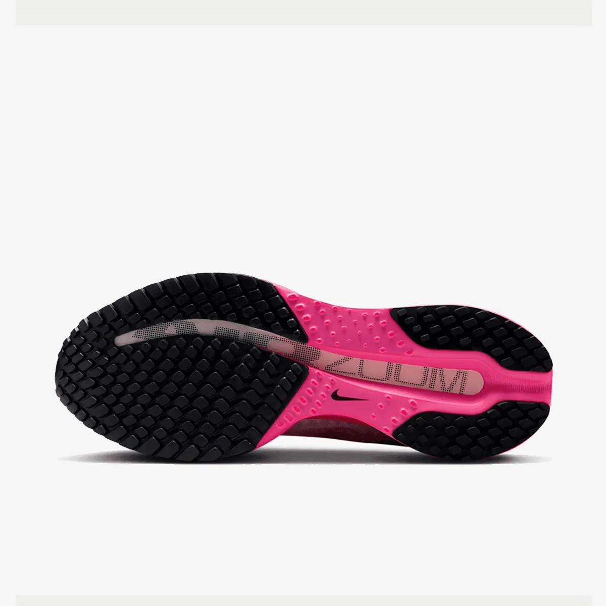 NIKE PANTOFI SPORT W NIKE PEGASUS PREMIUM RC