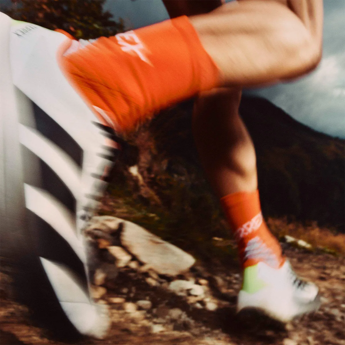 ADIDAS PANTOFI SPORT TERREX AGRAVIC 4